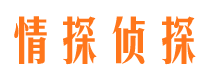 昌江县市婚外情调查